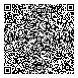 Biz-Fin Strategy Solutions Inc QR Card