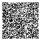 Rocscience QR Card