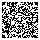 Dni Metals Inc QR Card