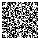 Blue Sky Roofing QR Card