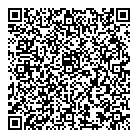 Sky Force Inc QR Card