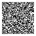 A J Lemik QR Card