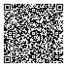 Dr G Skocylak QR Card