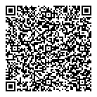 Dash Export QR Card