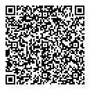 Bdo QR Card