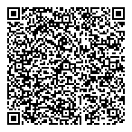 Pyramid Consulting QR Card
