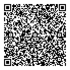 Dsm Leasing Ltd QR Card