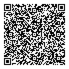 Blink Parties QR Card