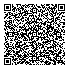 Cheq QR Card