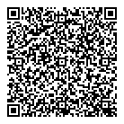 Salsa Attitude QR Card