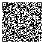 Services D'assurances Inc QR Card