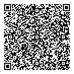 Depatie Strategie Inc QR Card