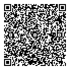 Ok Pneus QR Card