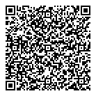 P 2 Import Inc QR Card