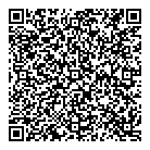 Dtl Misys Inc QR Card