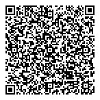 Taxi N-D-D-L Inc QR Card