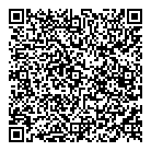 Brikelite QR Card