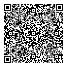 Plasrec Lte QR Card