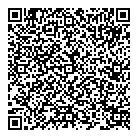 Mnp LLP QR Card