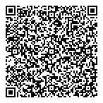 P V Informatique Inc QR Card