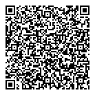 Vizusolution Inc QR Card