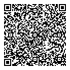 Plurison Inc QR Card