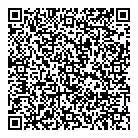 Paige Consulting QR Card