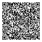 Global Ionix Inc QR Card