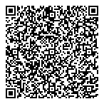 Toiture Mario Dicaire QR Card