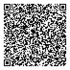 Dallaire Groupe Conseil QR Card