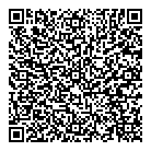 Rapicon Inc QR Card