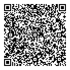Solution Ford QR Card