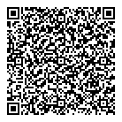 Ionodes Inc QR Card