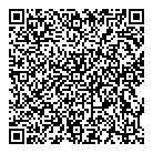 Inspection Ndt QR Card