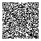 Northern Light QR Card