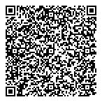 Dillon Consulting Ltd QR Card