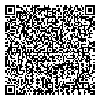 Dramis Communtions Ltd QR Card