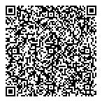 D  L Electric Ltd QR Card