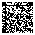 Dethomasis Inc QR Card