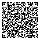 Thoi Bao QR Card