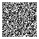 Boutique Damini QR Card