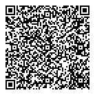 Vis Inc QR Card