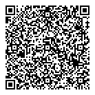 Solutions Biz QR Card