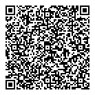 Vdmd Inc QR Card