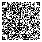 Veronics Instruments Inc QR Card