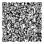 Blue Star Paper Inc QR Card