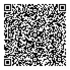 Dizaro Inc QR Card