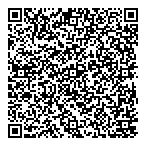 Nettoyeur Quali-Brite QR Card