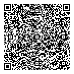 Bludok Systems Ltd QR Card