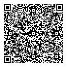 Vivavision Inc QR Card